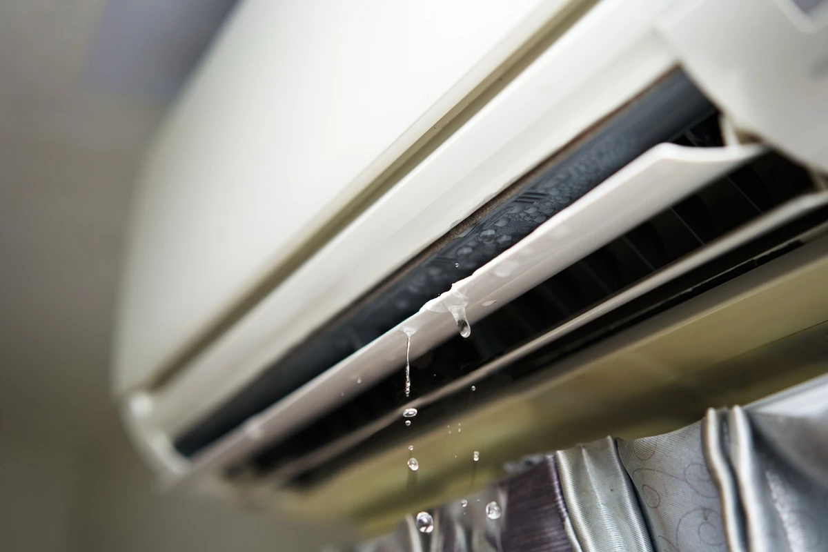 JMAS Ciudad Juárez advierte: el truco de 5 minutos para ahorrar 30% en agua - image 1