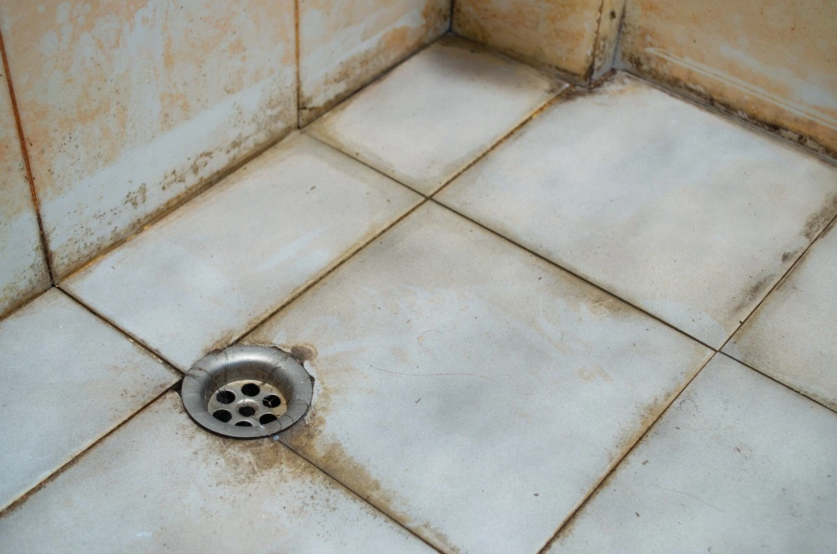 Juntas negras en el baño: el Renovador de rejunte que las deja blancas en minutos - image 1