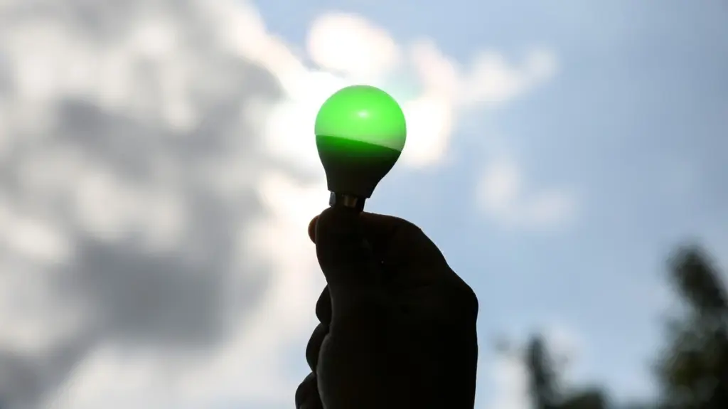Luz verde en el portal: el emotivo mensaje para los Veteranos de guerra
