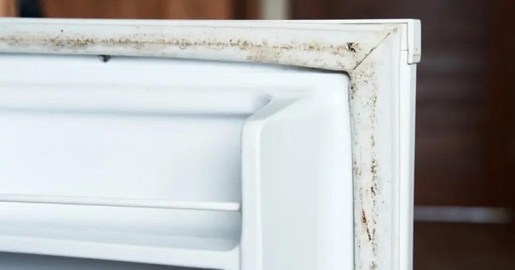 Moho en el refrigerador: el truco de la tarjeta para salvar el sello de goma