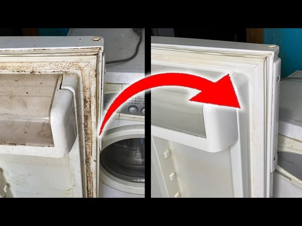 Moho en el refrigerador: el truco de la tarjeta para salvar el sello de goma - image 1
