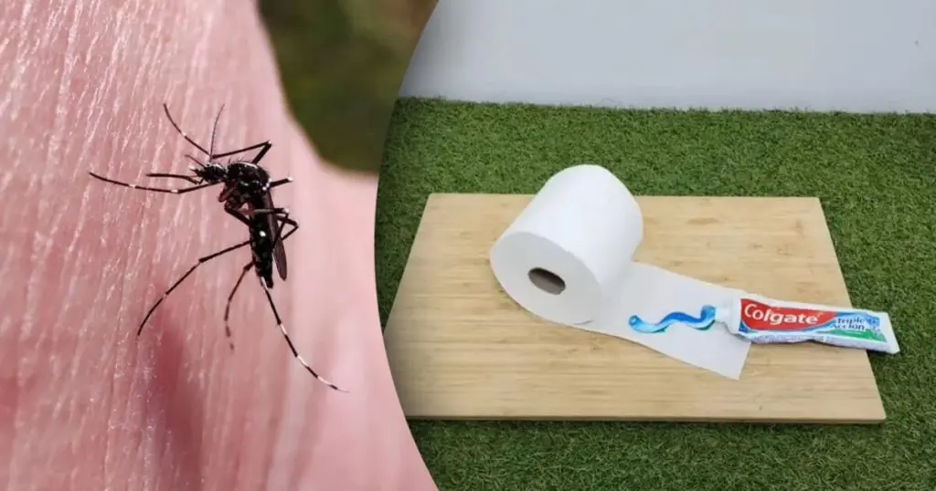 Mosquitos en casa: el truco del papel higiénico para dormir sin picaduras