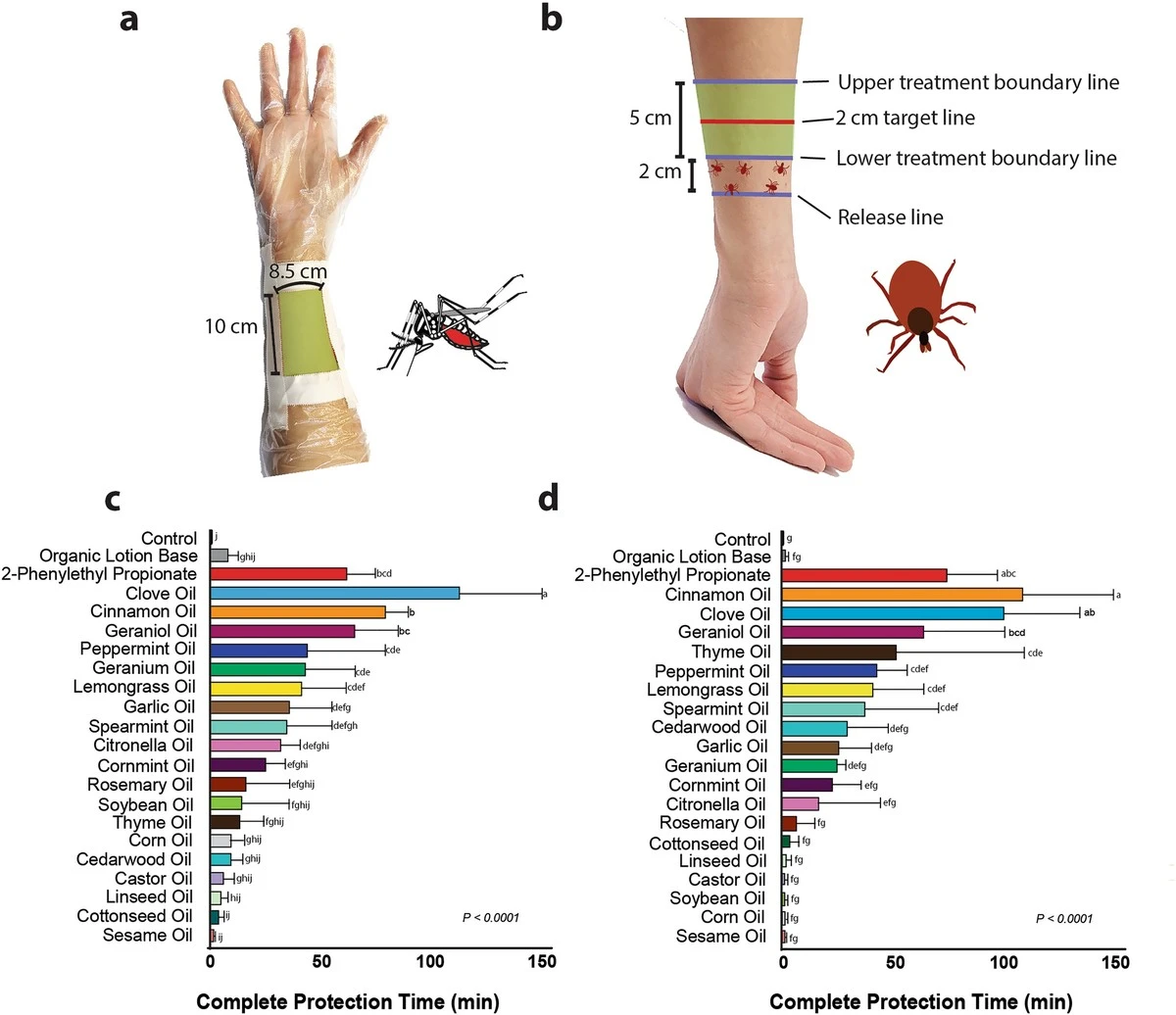Mosquitos en casa: el truco del papel higiénico para dormir sin picaduras - image 1