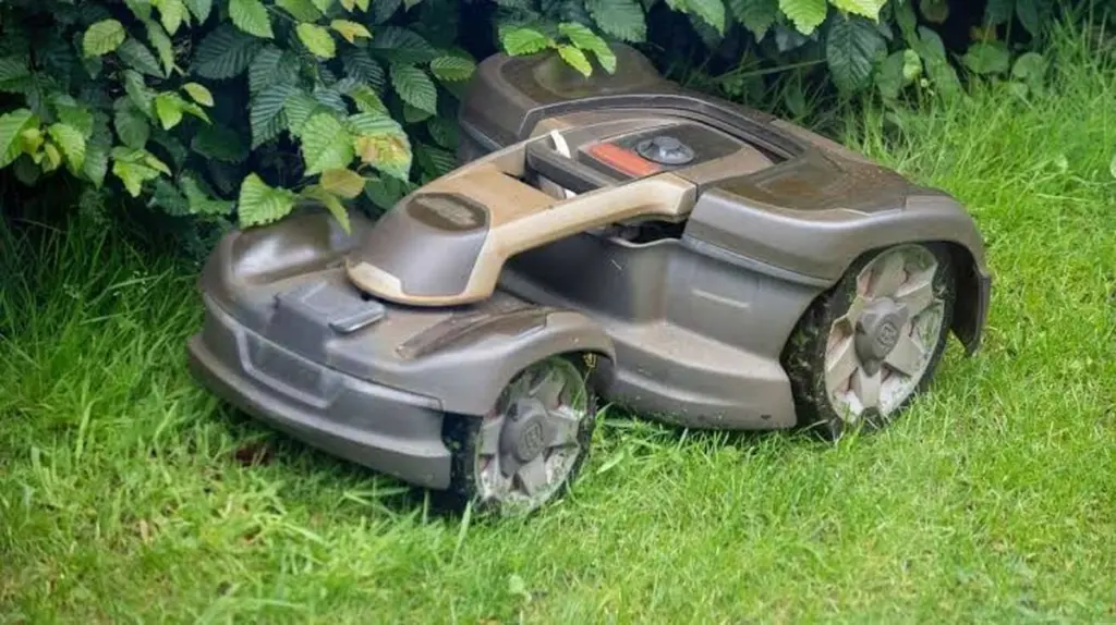 Multa de 3.000€ por el robot cortacésped: el error que pone en peligro al erizo