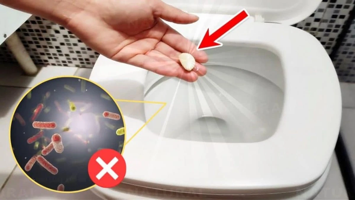 No más olor en el inodoro: pon un ajo así antes de dormir y nota el cambio - image 1