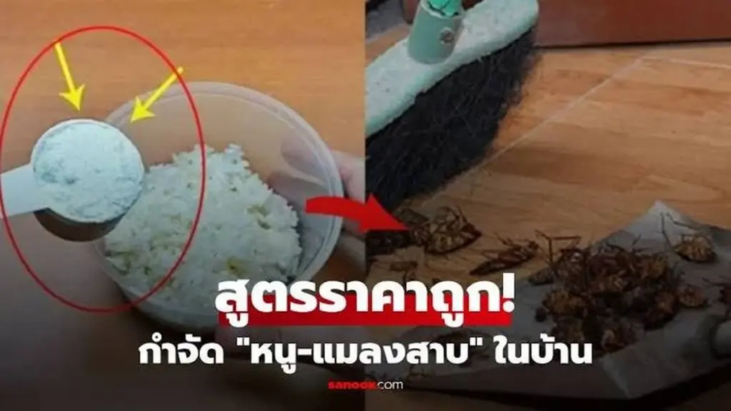 No tires el arroz: el truco del jabón para sacar rata y cucaracha en 1 noche
