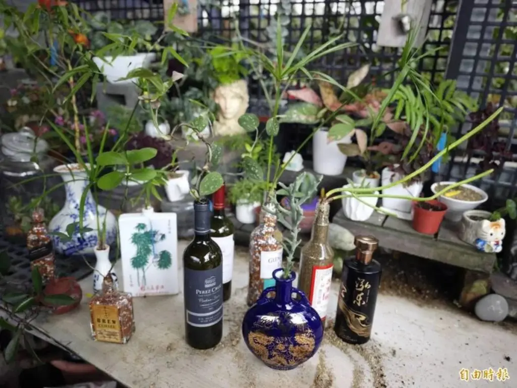 No tires tus botellas: el método de Tainan y Dacheng para decorar con plantas