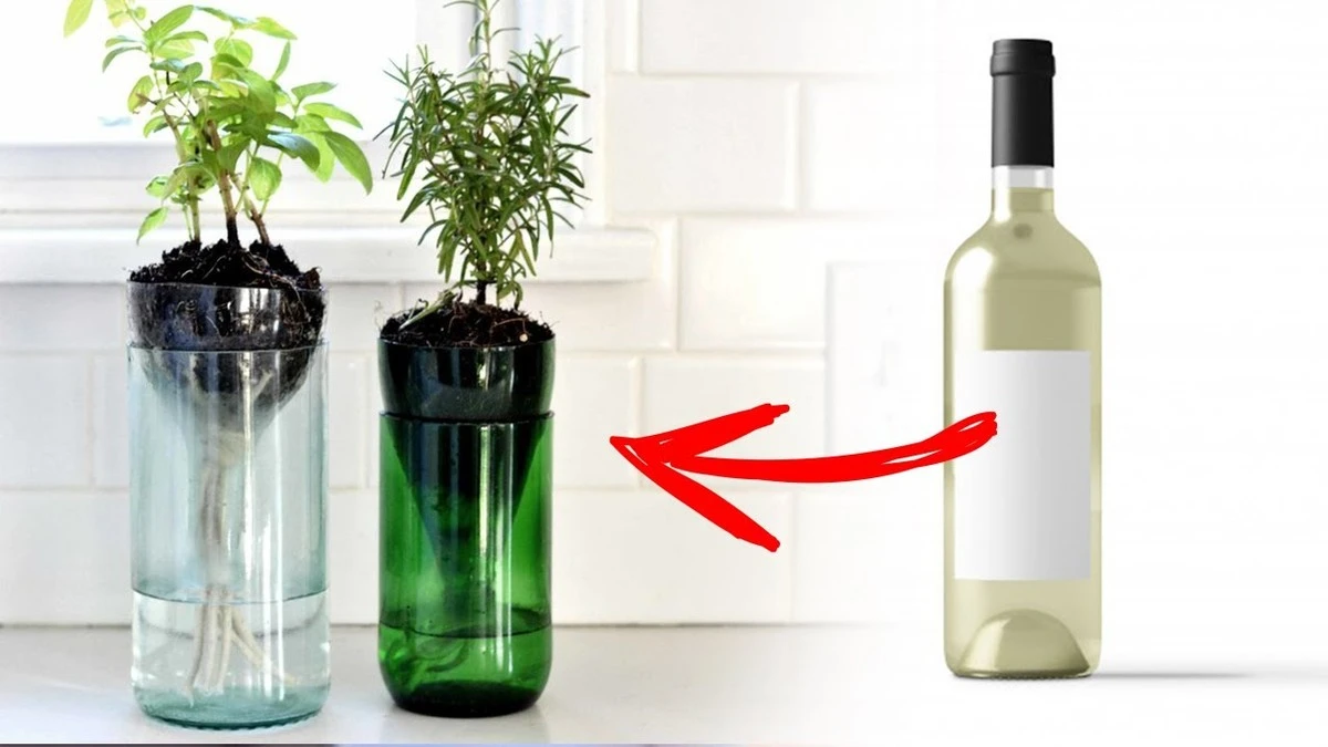 No tires tus botellas: el método de Tainan y Dacheng para decorar con plantas - image 1