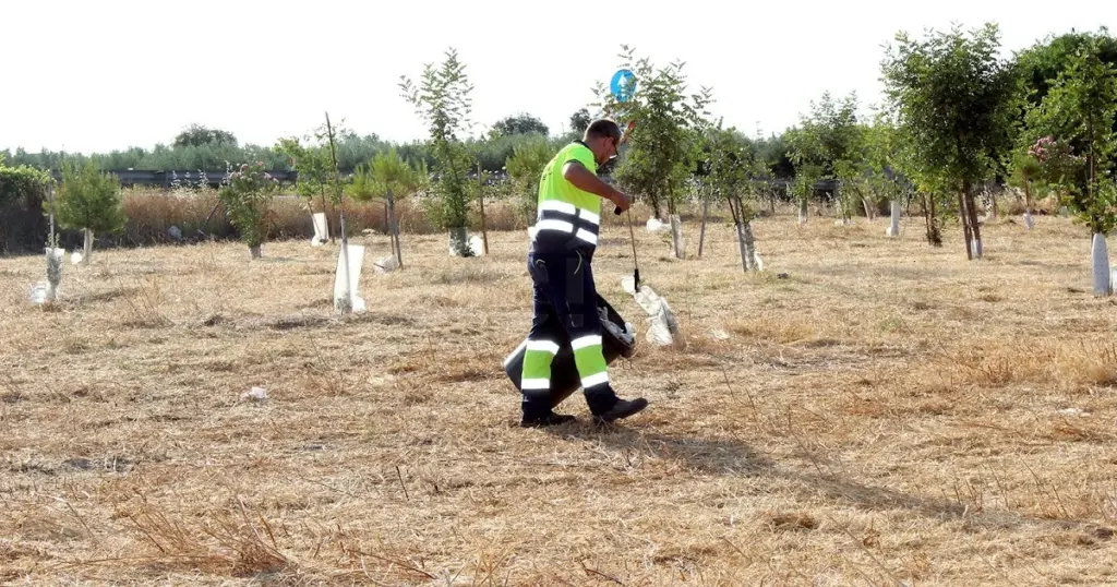 Peligro de incendio: el Ayuntamiento de Montilla blinda 80 zonas críticas