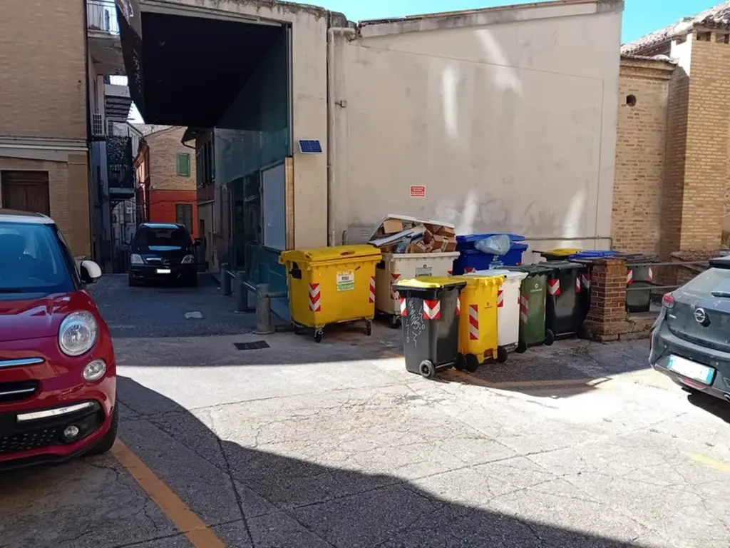 Plaga en Via Cavour y Liceo Leopardi: por qué las trampas ya no funcionan