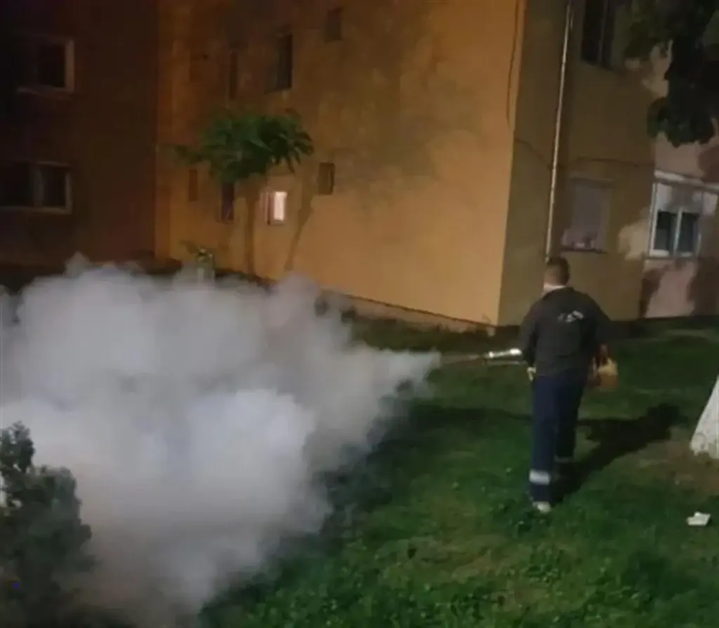 Plagas en Onești: El plan del Ayuntamiento de Onești para dormir sin picaduras
