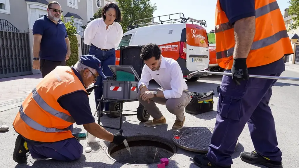 Plagas en Torrejón de Ardoz: el plan del Ayuntamiento para frenar la invasión