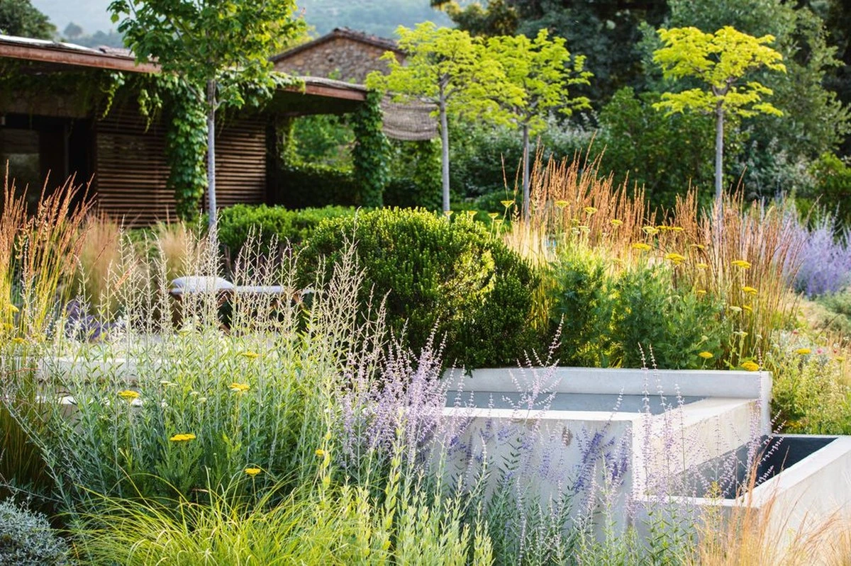 Planificación de jardines: el truco del 50% de ahorro en Diseño de jardines - image 1