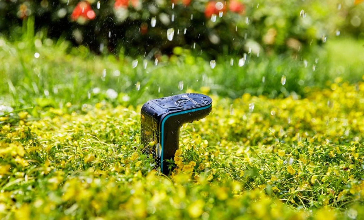 Plantas en verano: el truco de Marc Knaepen para ahorrar Agua sin matarlas - image 1
