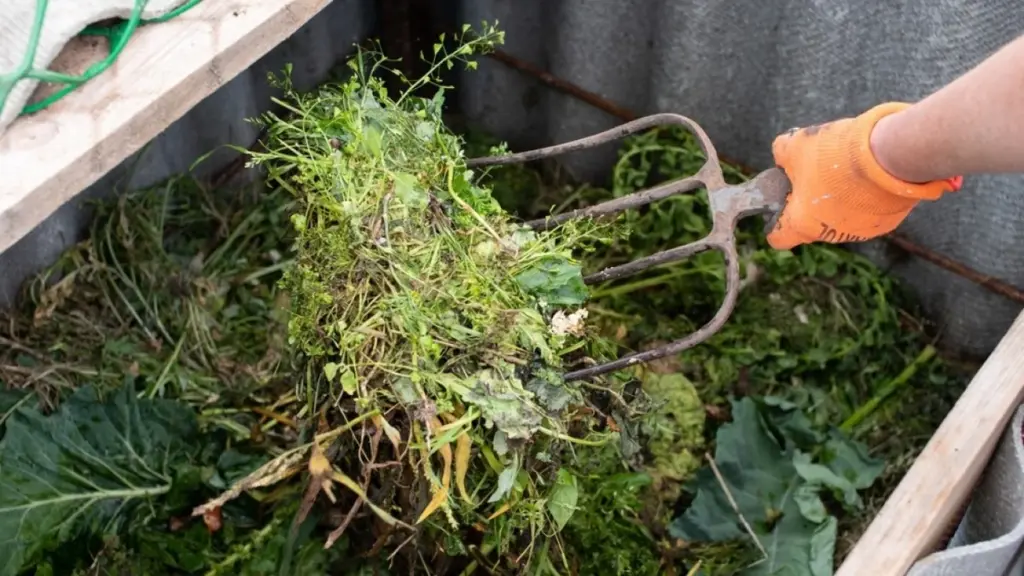 Plantas tóxicas en tu compostaje: el secreto para no arruinar tu huerto
