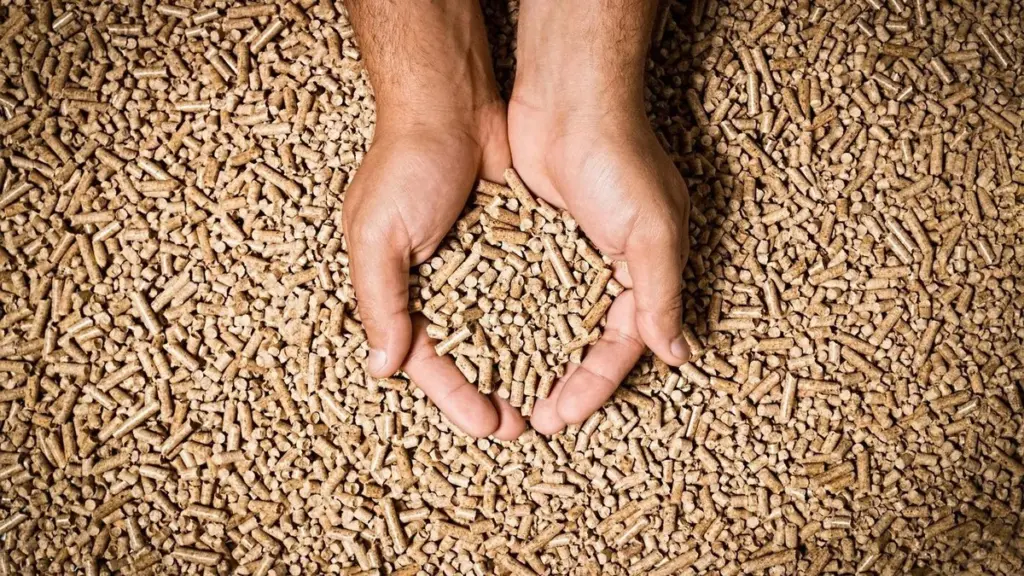 Precio de los pellets: el error que sube tu factura y cómo ahorrar con pellets de madera
