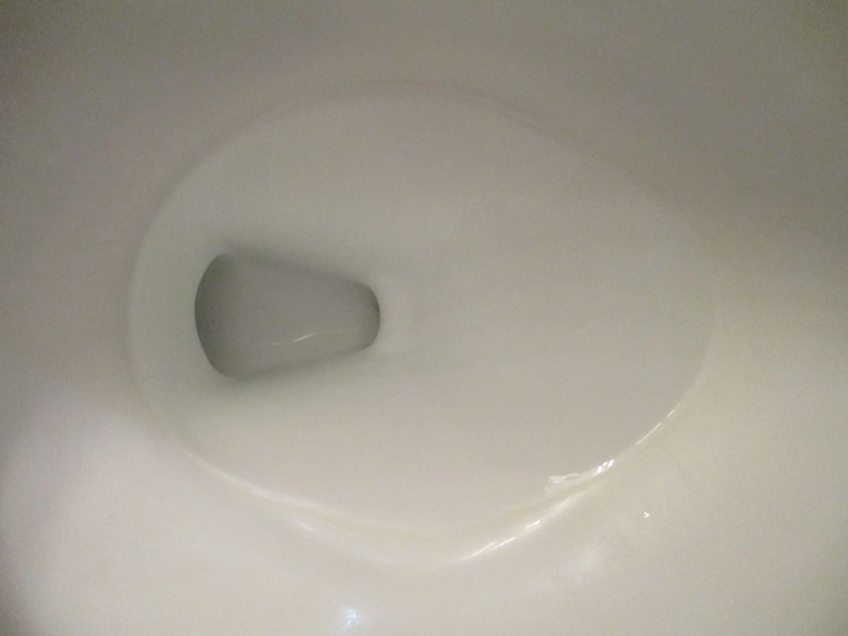 Sarro en el inodoro: el truco del ácido cítrico para limpiarlo en 30 minutos - image 1