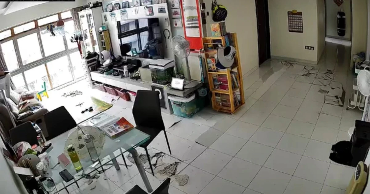 Suelos que explotan en Thannithode: el aviso de T.G. Ramanan para tu casa - image 1