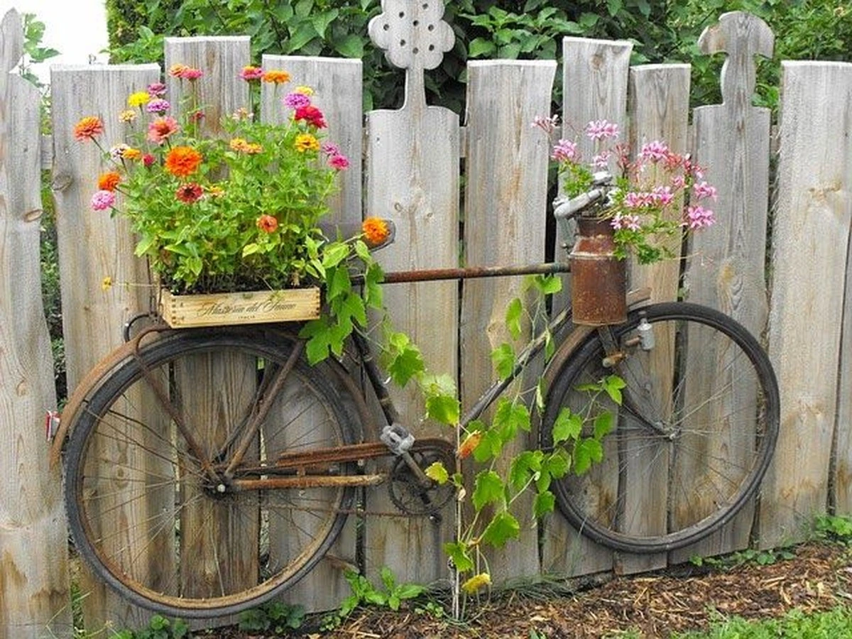 Supraclaje de bicicletas: el truco del Pelargonium para un jardín de revista - image 1