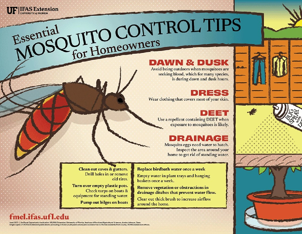 Temporada de monzones: el método para evitar insectos y plagas en casa - image 1