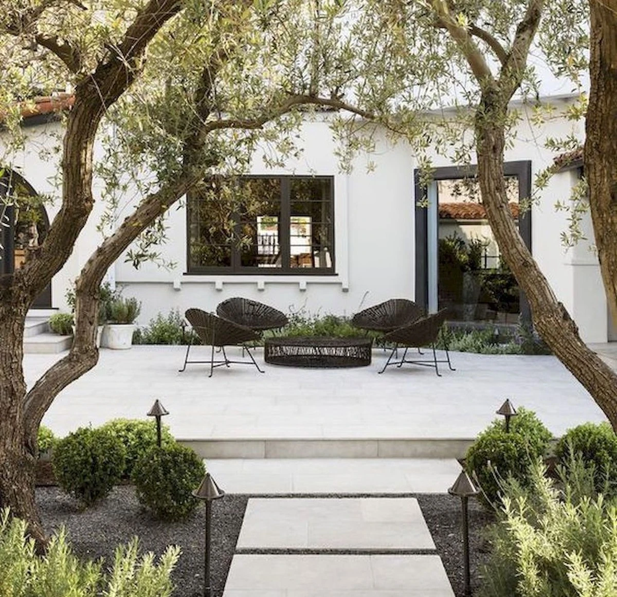 Terraza siempre verde: 6 arbustos que sobreviven al calor sin riego constante - image 1