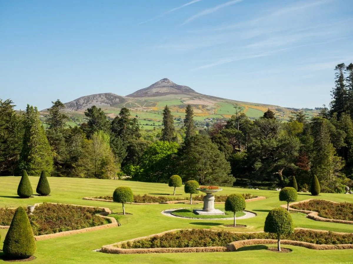 Truco del Festival de Jardinería de Carlow: ahorra un 70% de agua en tu jardín - image 1