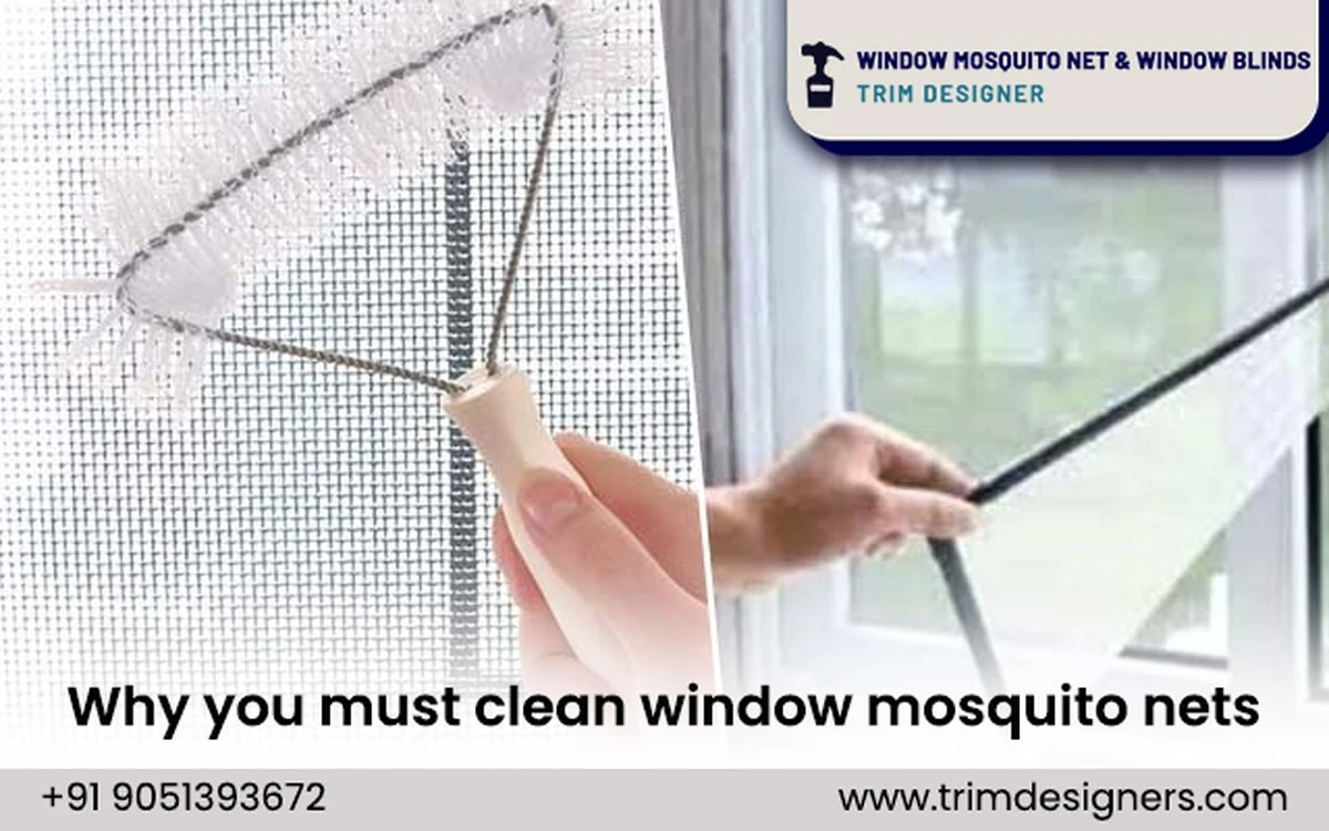Tu mosquitera bloquea el aire: el truco natural para un verano fresco - image 1