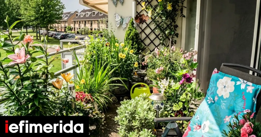 Valentina Giungati revela el truco: Sedum y las plantas que no mueren sin riego