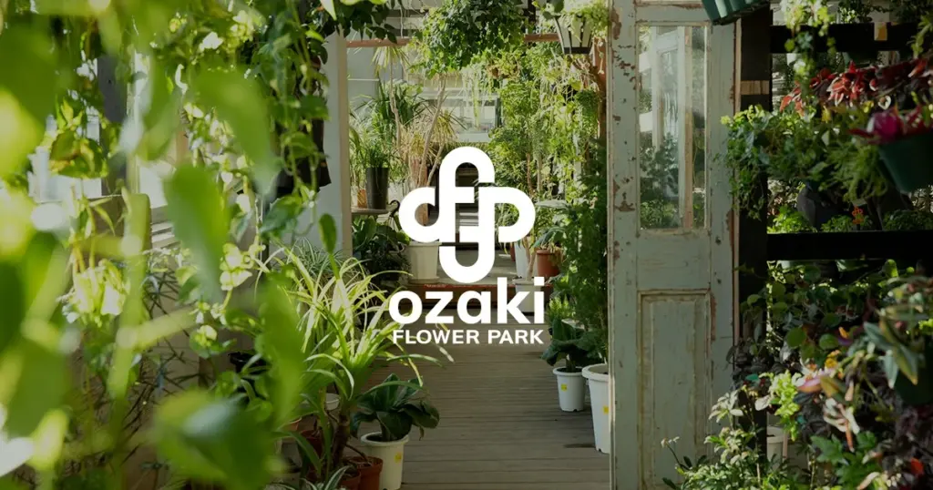 Vence al calor extremo: el secreto de Ozaki Flower Park con Echinacea