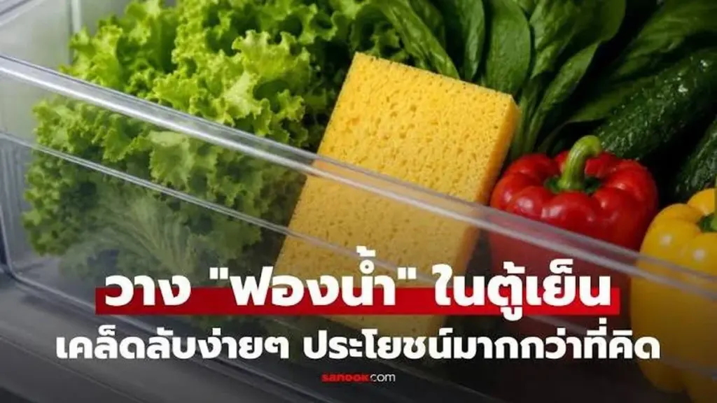 Verduras frescas por más tiempo: el truco de la esponja en el refrigerador